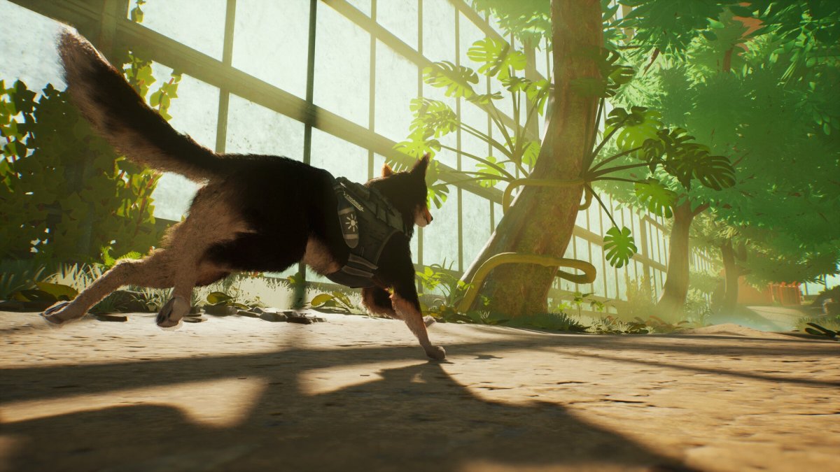 Barkour Pratinjau: A Sebagian besar Celaka Bagus Diam-diam Waktu Jadi Jauh